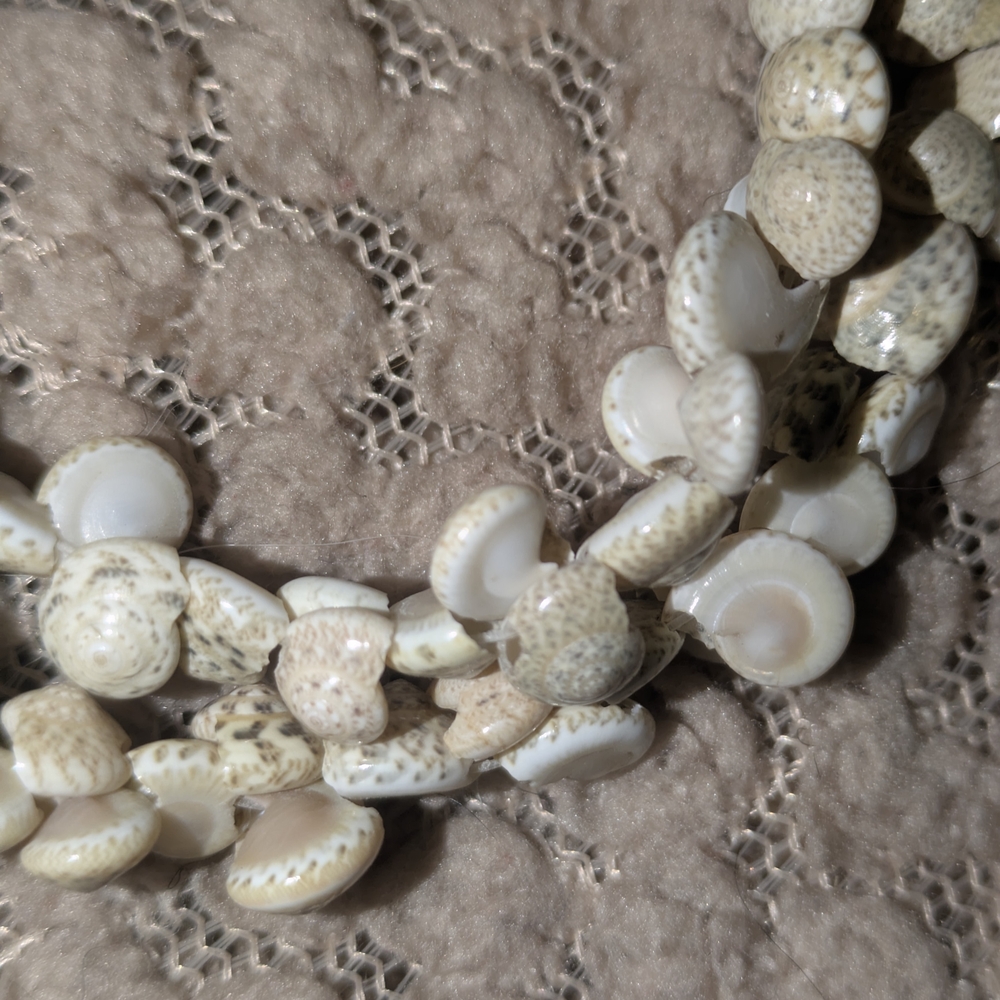 3/$15 Cream Shell Necklace - Picture 2 of 2